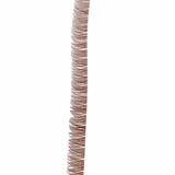 BROWN Wispy Lash Runway