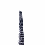 Black Lash Runway Volume Spike