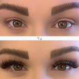 Lash Lingerie Volume Clusters